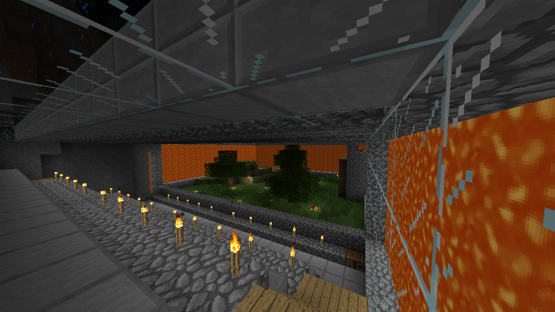 File:NewFerArenaInside.png